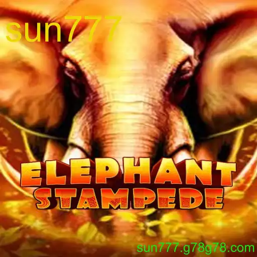 ElephantStampede